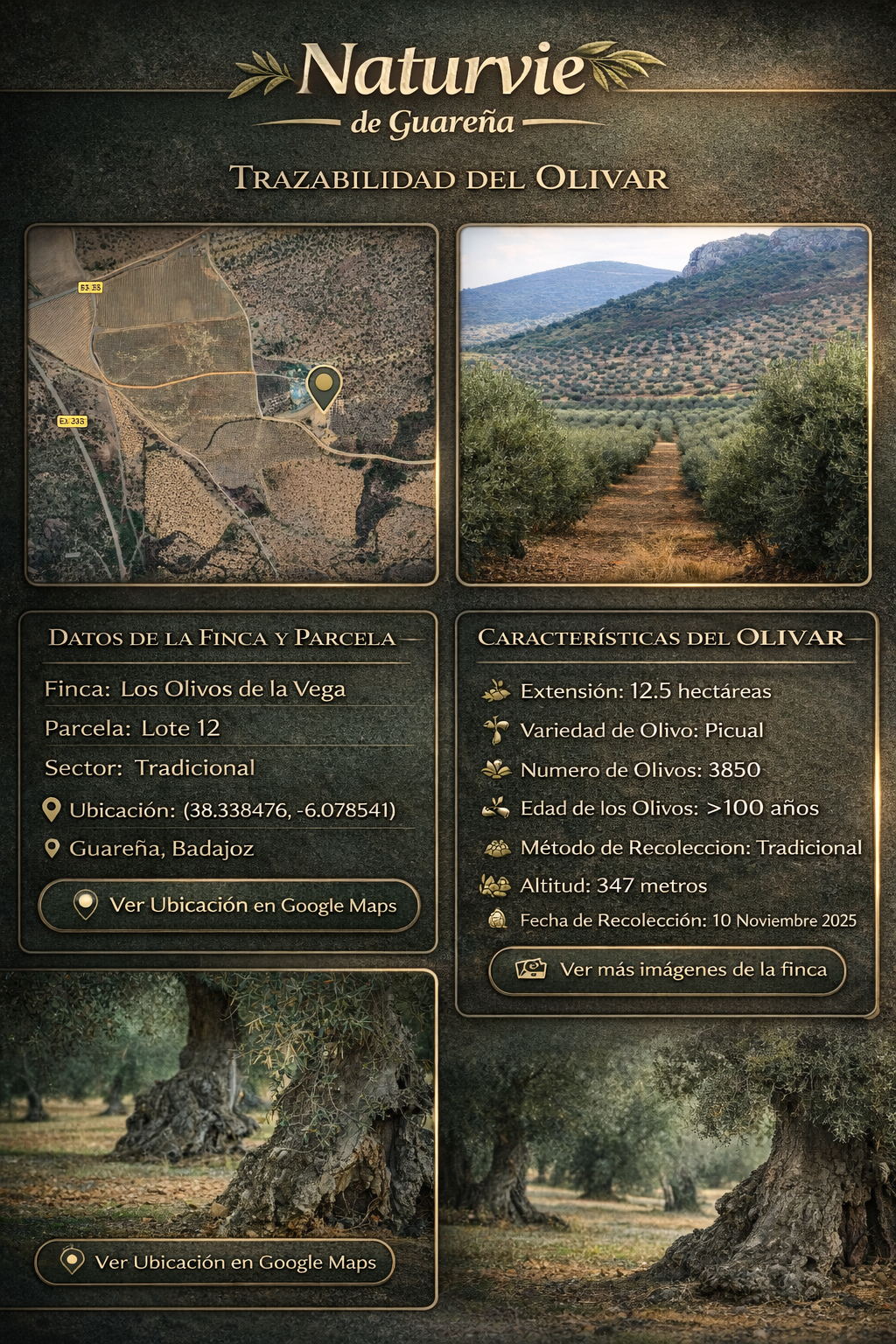 Analítica y perfil organoléptico del AOVE Naturvie